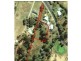 158 / 3 South Road, Penguin TAS 7316