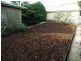 936 Ridgley Highway, Ridgley TAS 7321