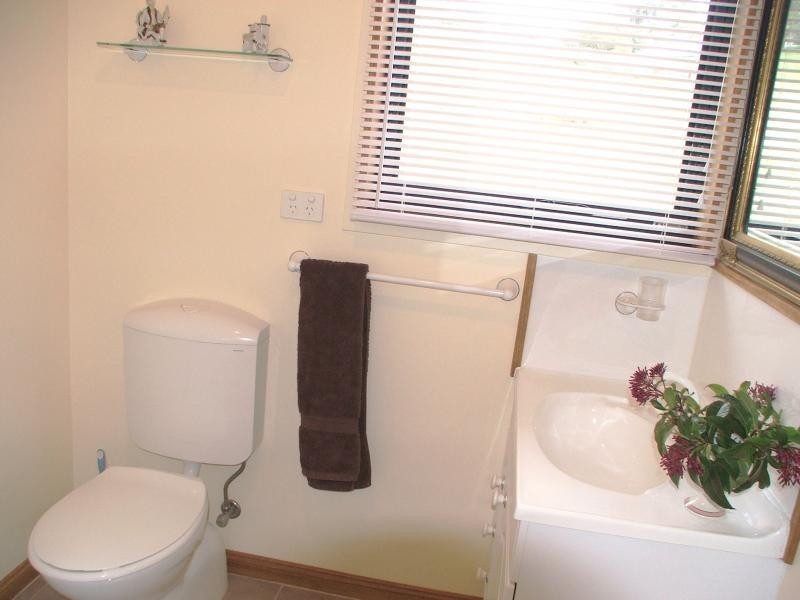 5 Southwood Avenue, Penguin TAS 7316