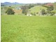 341 Creamery Road, Penguin TAS 7316