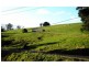 341 Creamery Road, Penguin TAS 7316