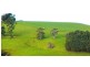 341 Creamery Road, Penguin TAS 7316