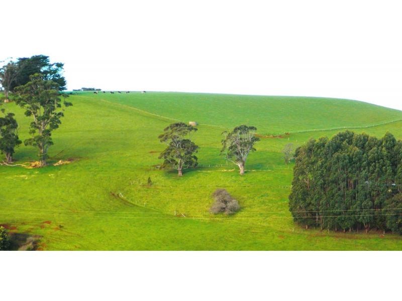 341 Creamery Road, Penguin TAS 7316