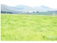 341 Creamery Road, Penguin TAS 7316