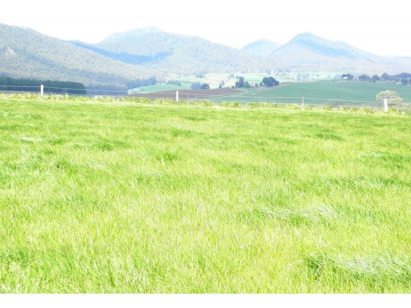 341 Creamery Road, Penguin TAS 7316