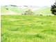 341 Creamery Road, Penguin TAS 7316