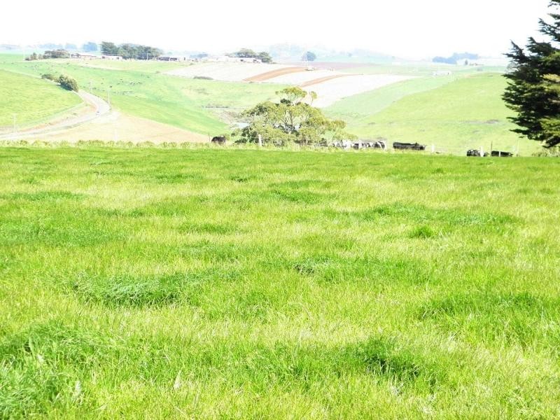 341 Creamery Road, Penguin TAS 7316