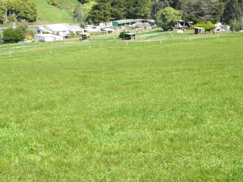 341 Creamery Road, Penguin TAS 7316