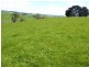 341 Creamery Road, Penguin TAS 7316