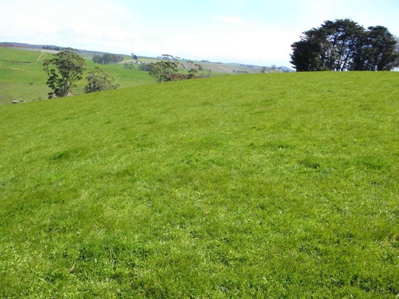 341 Creamery Road, Penguin TAS 7316