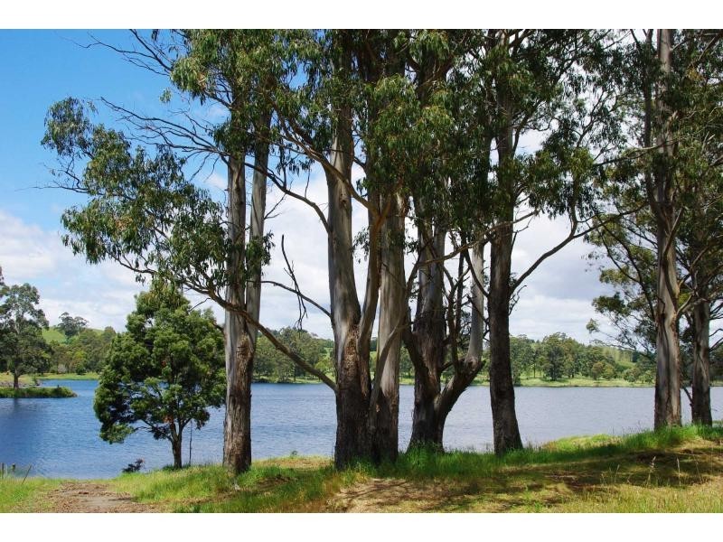 1014 Ridgley Highway, Ridgley TAS 7321