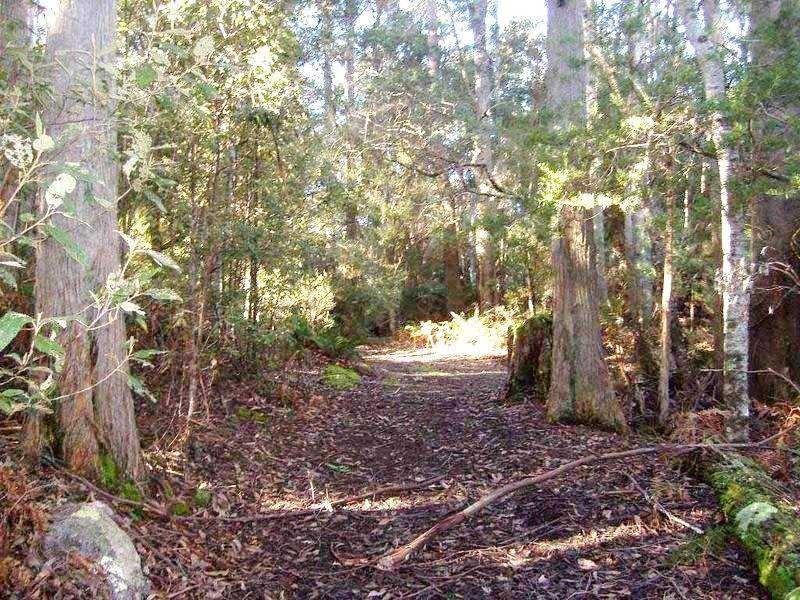 2949 Loyetea Road, Loyetea, Riana TAS 7316