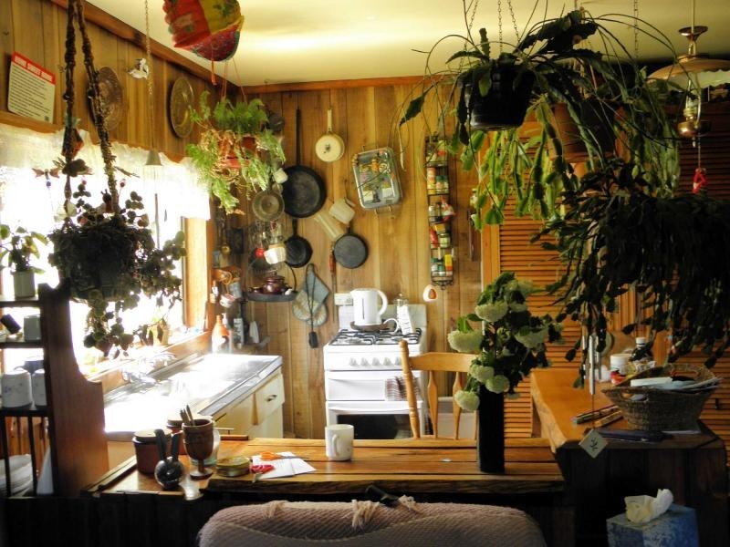 1299 PINE Road, Riana TAS 7316