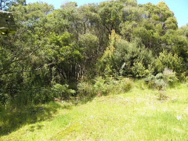 1299 PINE Road, Riana TAS 7316