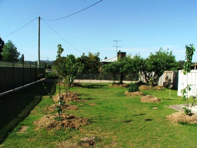 131 Foster Street, Railton TAS 7305
