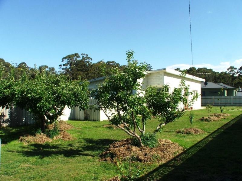 131 Foster Street, Railton TAS 7305