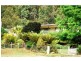 284 Dial Road, Penguin TAS 7316