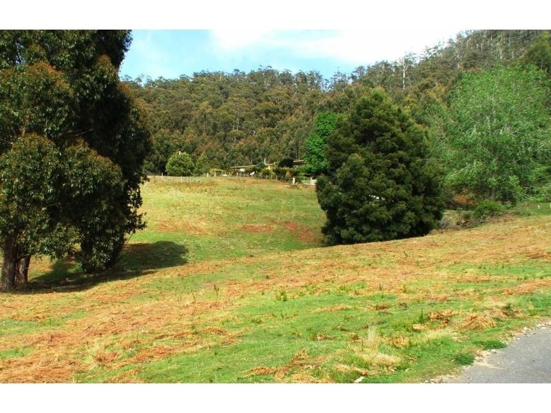 284 Dial Road, Penguin TAS 7316