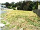 13 Evelyn Street, Penguin TAS 7316