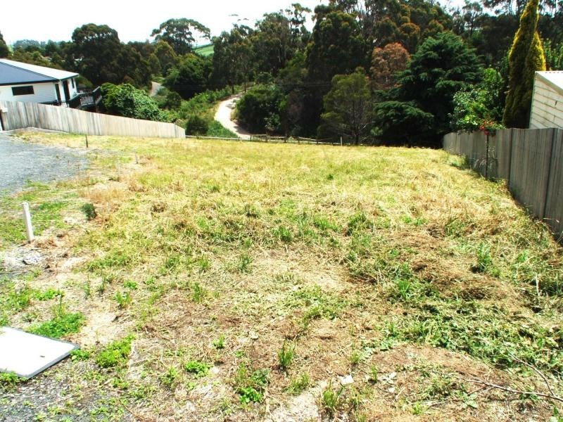13 Evelyn Street, Penguin TAS 7316