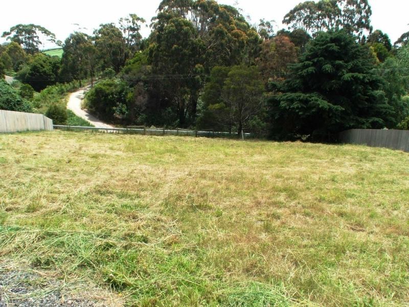 13 Evelyn Street, Penguin TAS 7316