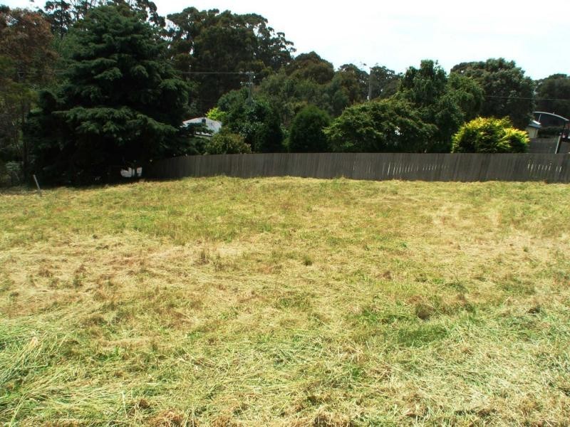 13 Evelyn Street, Penguin TAS 7316