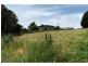13 Evelyn Street, Penguin TAS 7316
