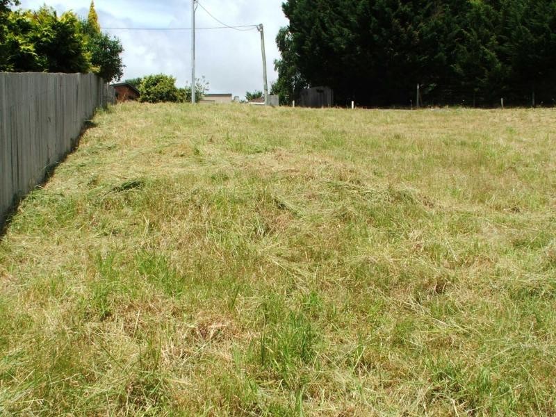 13 Evelyn Street, Penguin TAS 7316