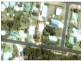 1A Pelissier Street, Somerset TAS 7322