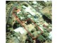47 Deviation Road, Penguin TAS 7316