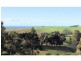 78 White Hills Road, Penguin TAS 7316