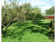 568 Preston Rd, North Motton TAS 7315