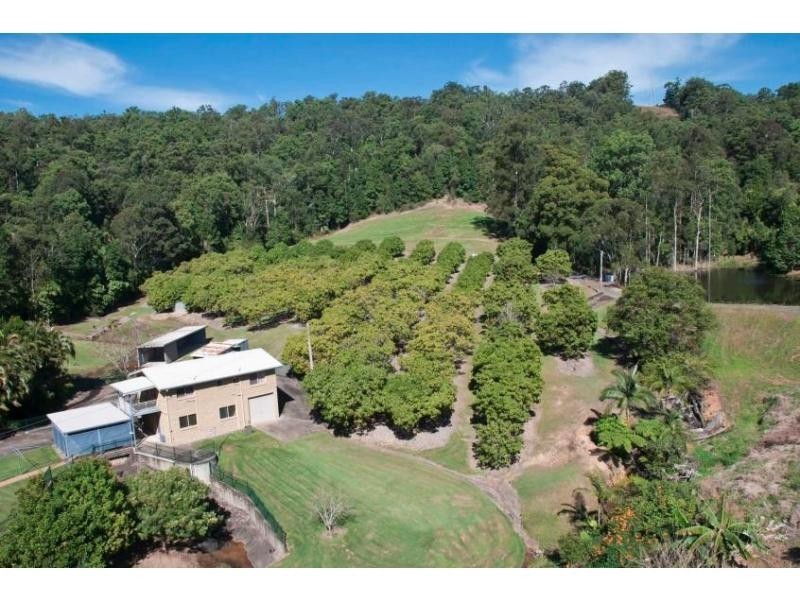 Palmwoods QLD 4555