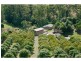 Palmwoods QLD 4555