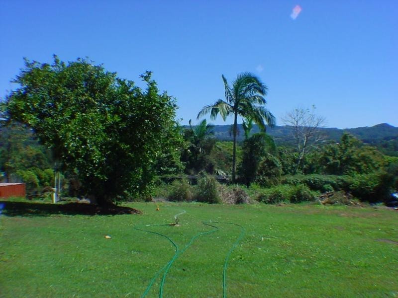 Woombye QLD 4559