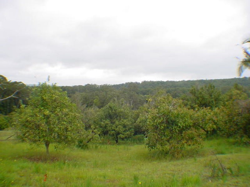 Kiels Mountain QLD 4559