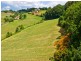 Woombye QLD 4559