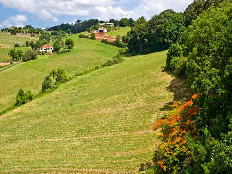 Woombye QLD 4559