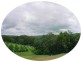 West Woombye QLD 4559