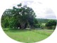 West Woombye QLD 4559