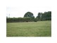 Rosemount QLD 4560