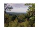Palmwoods QLD 4555