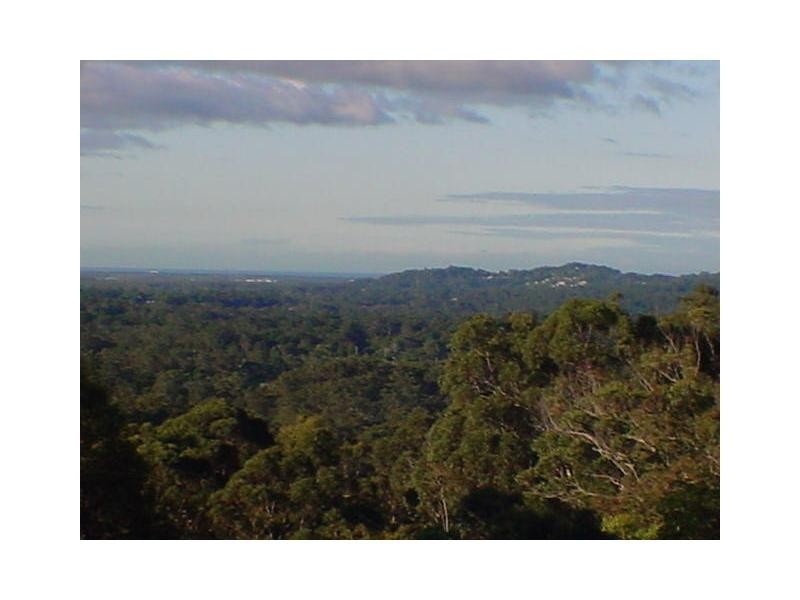 Palmwoods QLD 4555