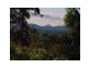 Palmwoods QLD 4555