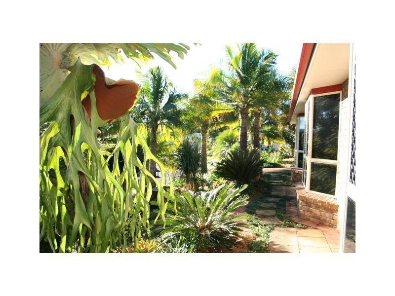 Woombye QLD 4559
