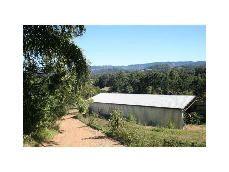 Palmwoods QLD 4555