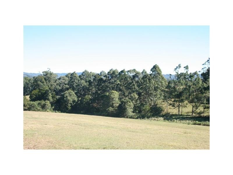 Palmwoods QLD 4555