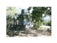 Palmwoods QLD 4555