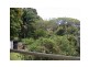 Palmwoods QLD 4555