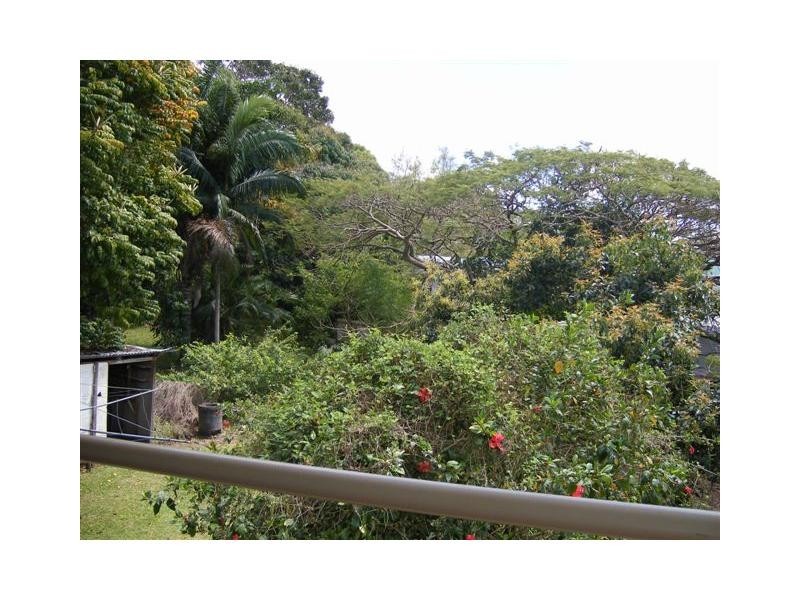 Palmwoods QLD 4555